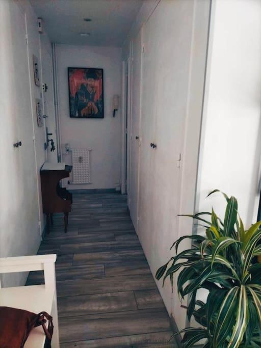 Cozy Apartment Free Parking קאין מראה חיצוני תמונה
